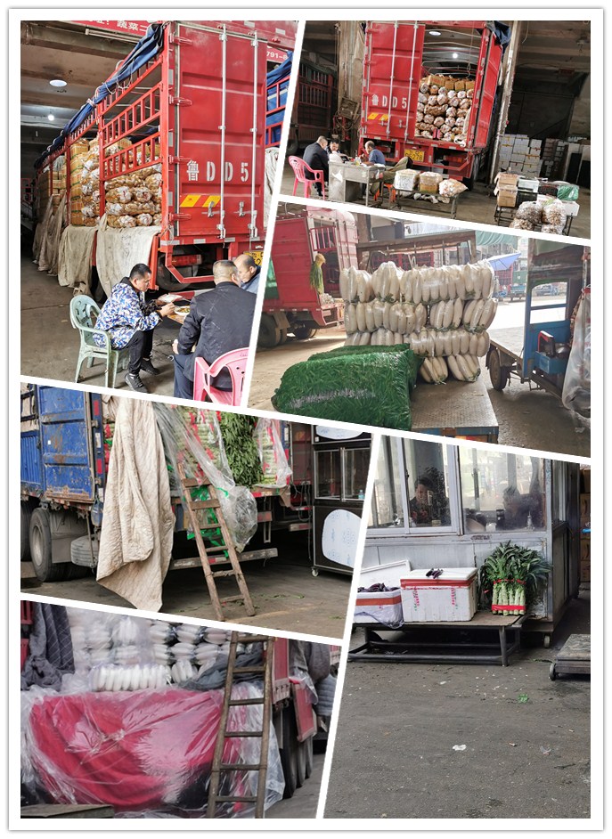 XPJ(中国大陆)有限公司官网