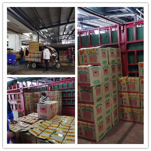 XPJ(中国大陆)有限公司官网