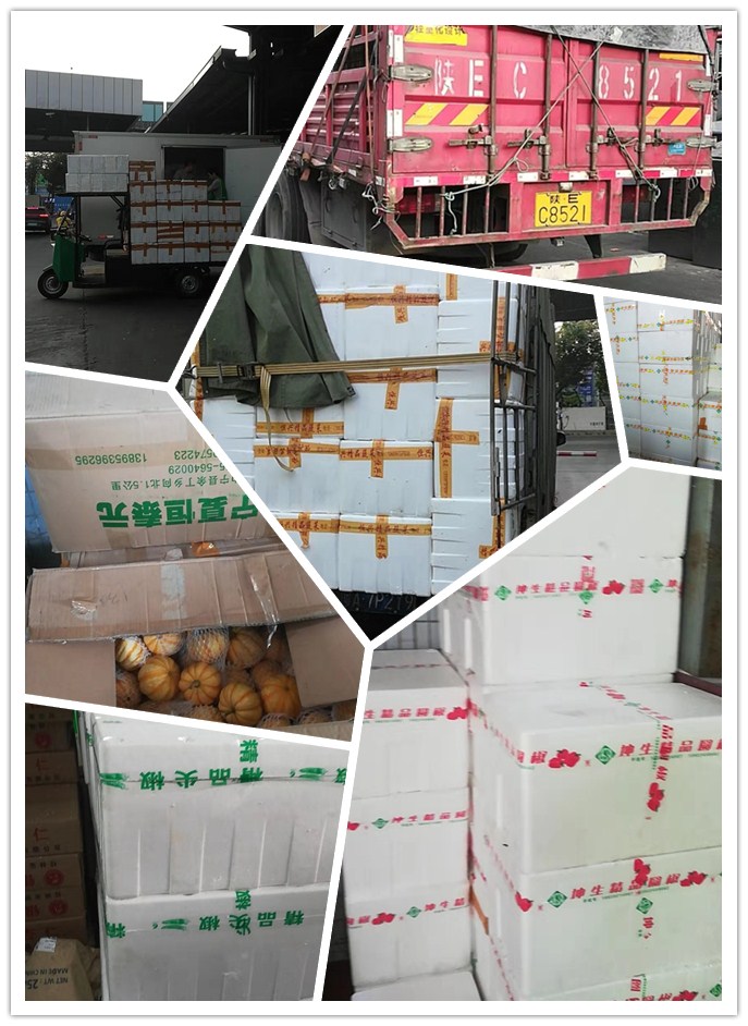 XPJ(中国大陆)有限公司官网