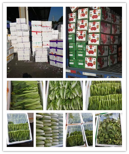 XPJ(中国大陆)有限公司官网