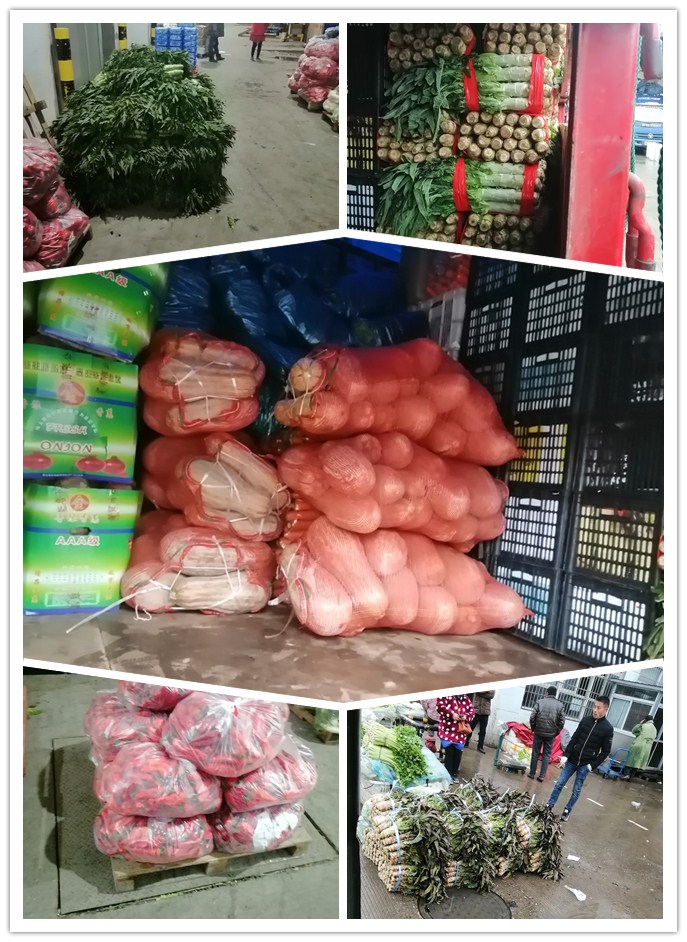 XPJ(中国大陆)有限公司官网