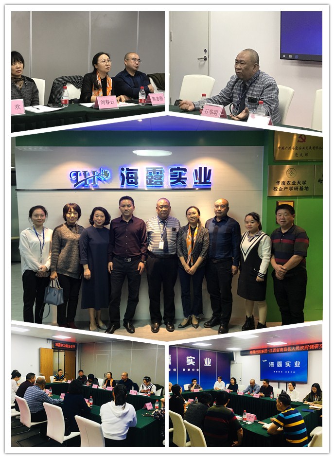 XPJ(中国大陆)有限公司官网