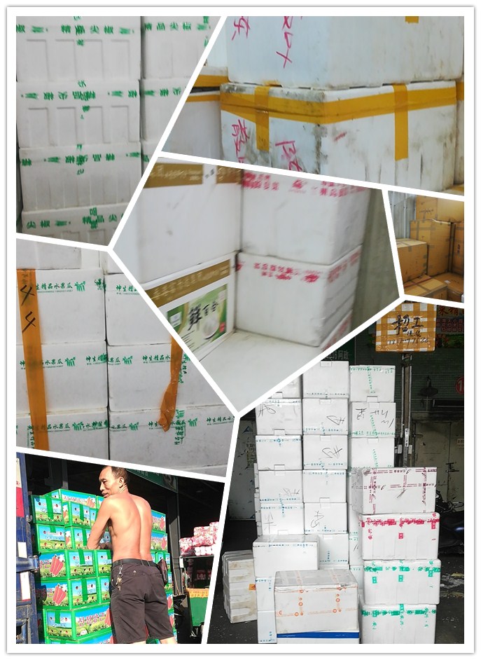 XPJ(中国大陆)有限公司官网