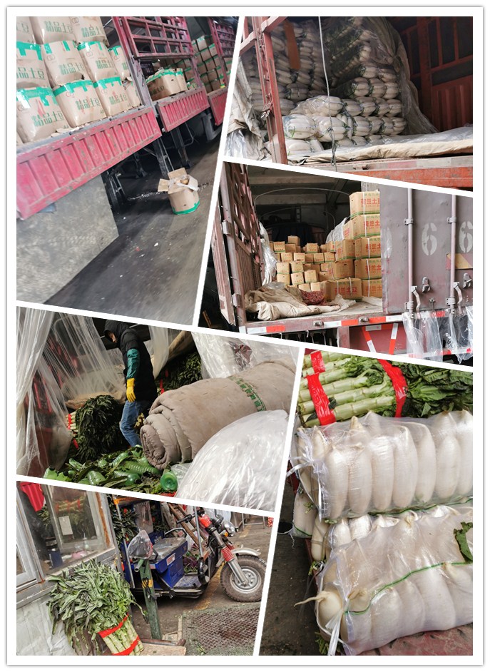 XPJ(中国大陆)有限公司官网