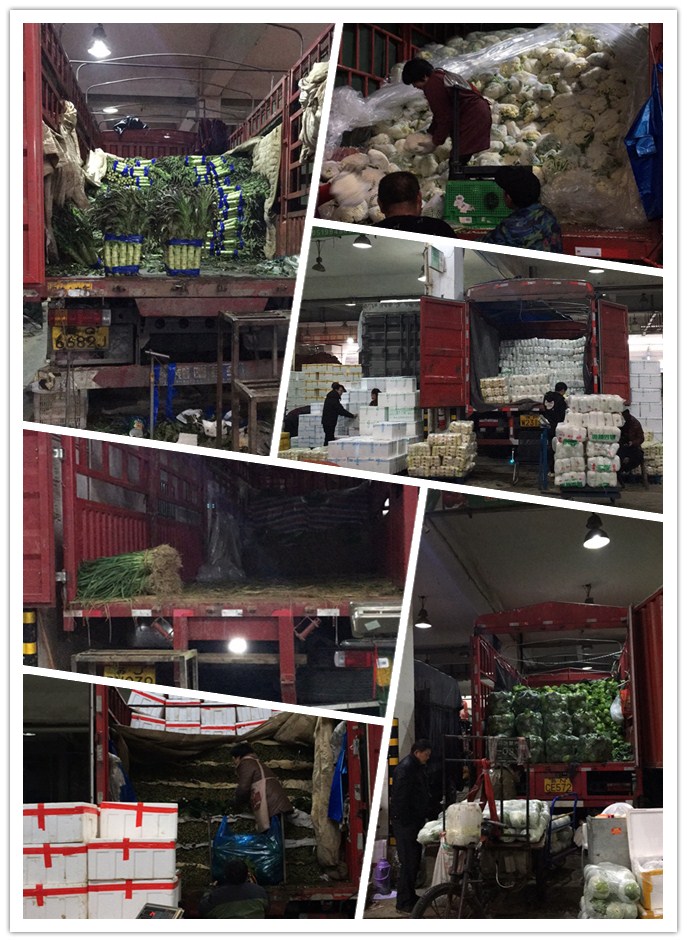 XPJ(中国大陆)有限公司官网