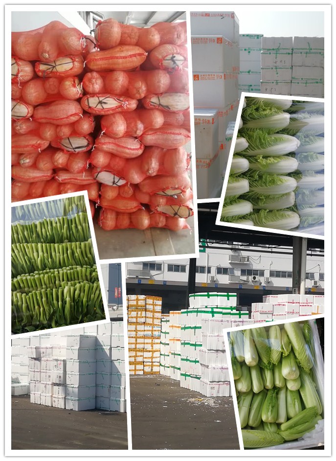 XPJ(中国大陆)有限公司官网