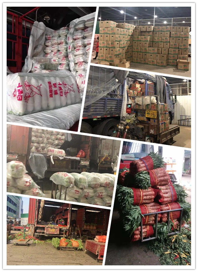 XPJ(中国大陆)有限公司官网