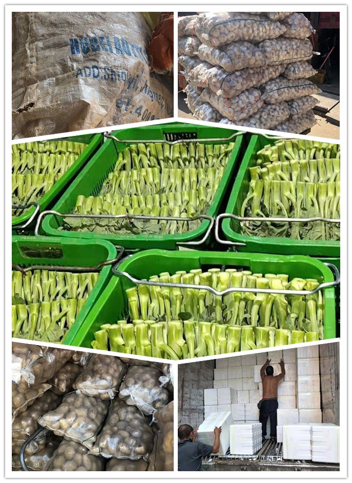 XPJ(中国大陆)有限公司官网