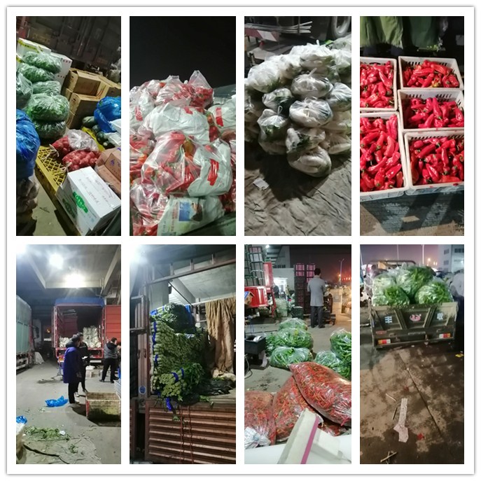 XPJ(中国大陆)有限公司官网