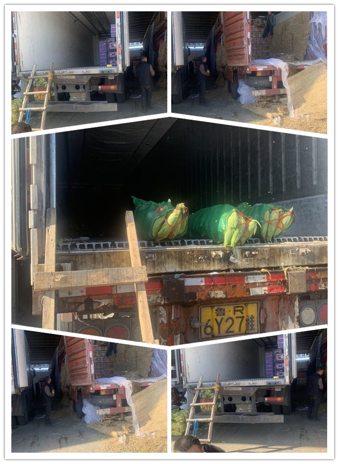 XPJ(中国大陆)有限公司官网