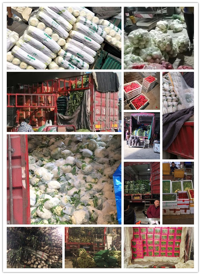 XPJ(中国大陆)有限公司官网