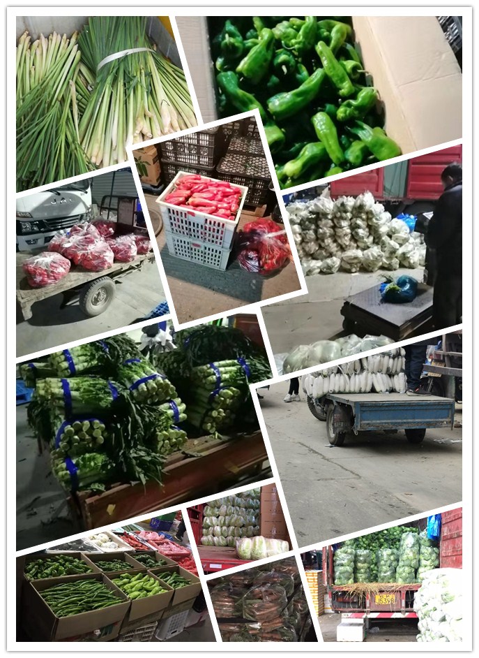 XPJ(中国大陆)有限公司官网