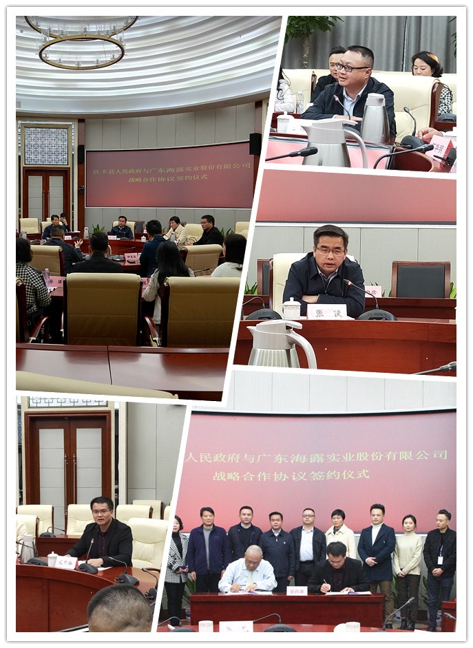 XPJ(中国大陆)有限公司官网