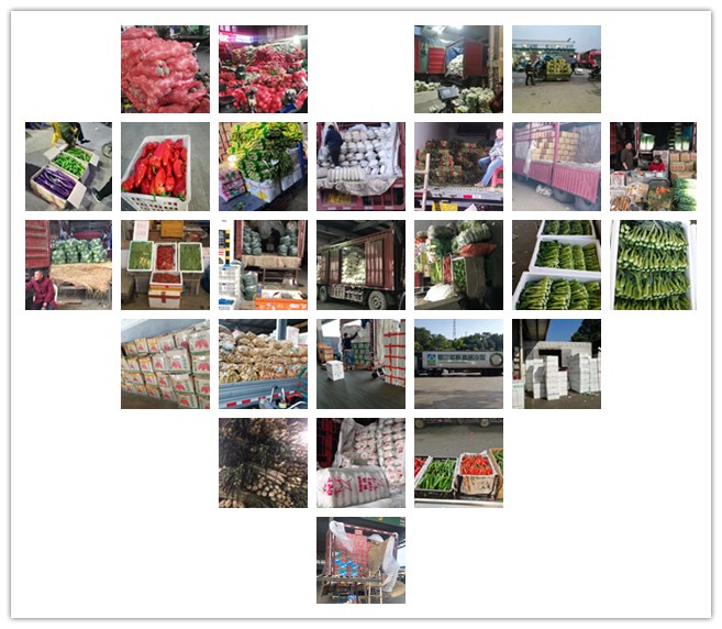 XPJ(中国大陆)有限公司官网