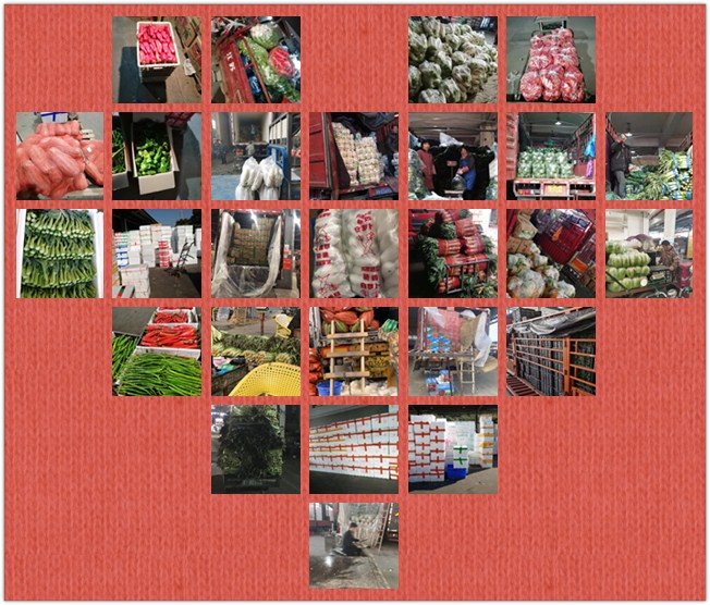 XPJ(中国大陆)有限公司官网