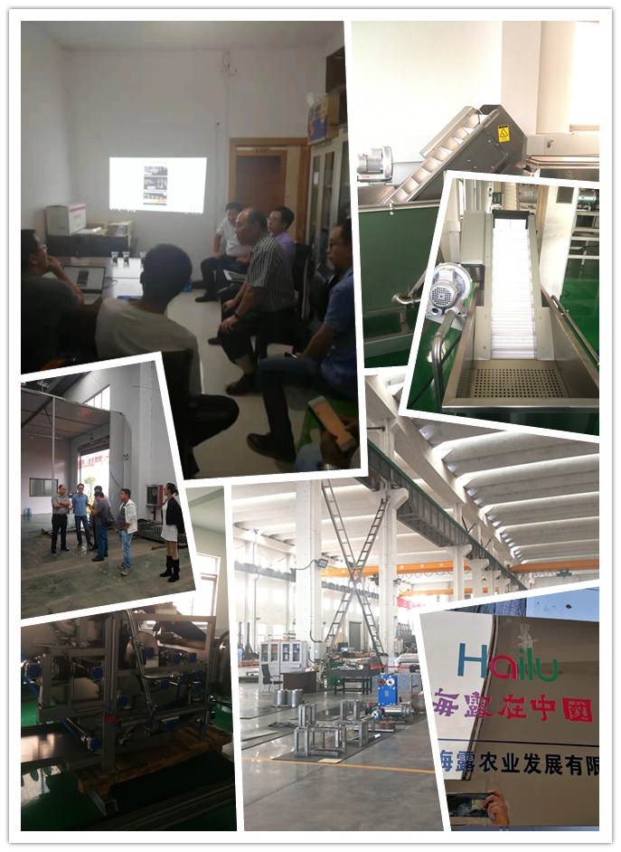 XPJ(中国大陆)有限公司官网