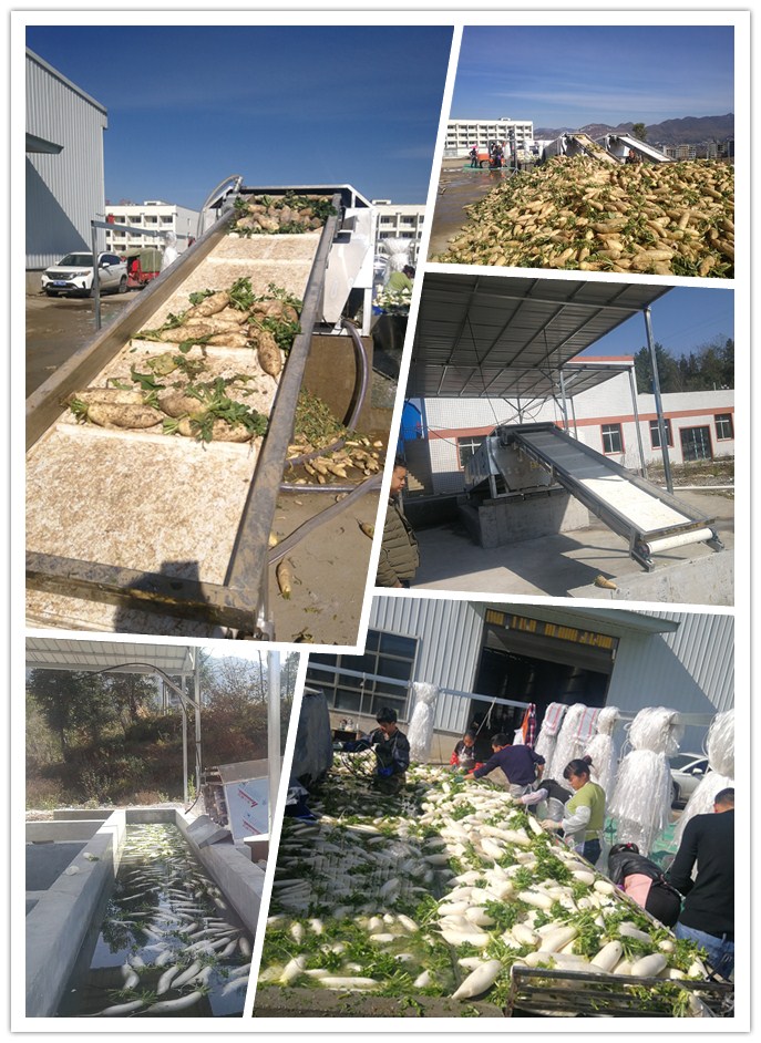 XPJ(中国大陆)有限公司官网