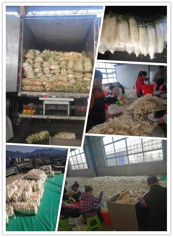 XPJ(中国大陆)有限公司官网