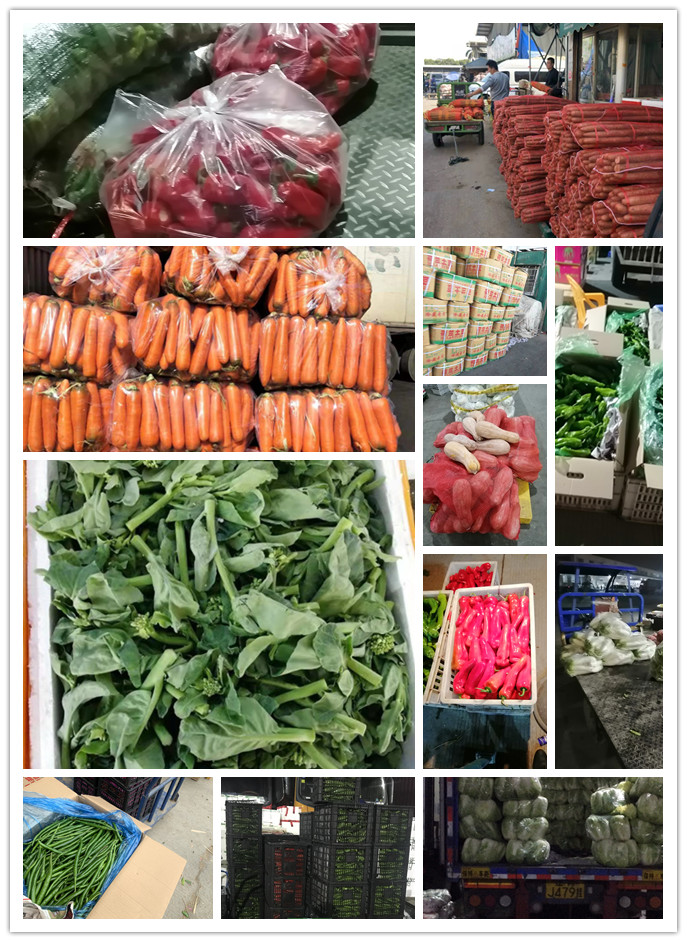 XPJ(中国大陆)有限公司官网