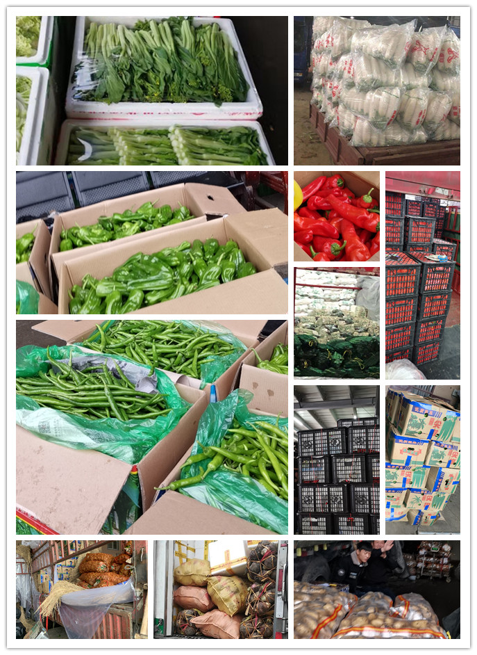 XPJ(中国大陆)有限公司官网