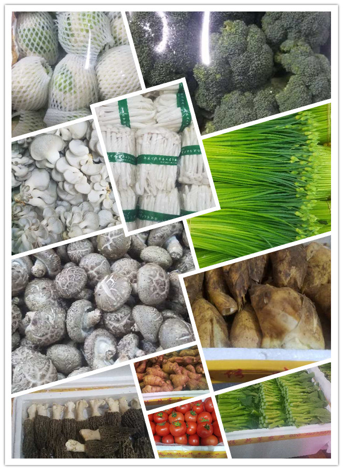 XPJ(中国大陆)有限公司官网