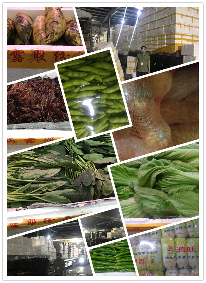 XPJ(中国大陆)有限公司官网