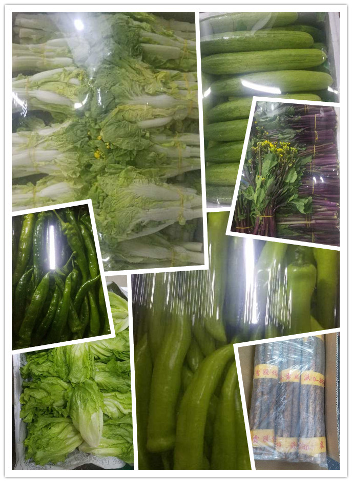 XPJ(中国大陆)有限公司官网