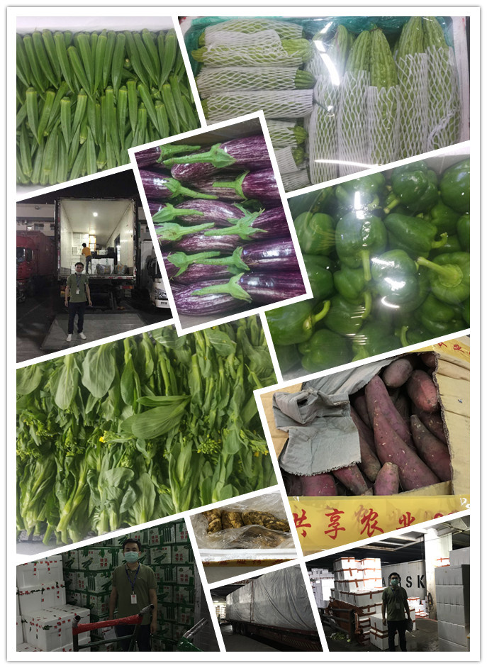 XPJ(中国大陆)有限公司官网