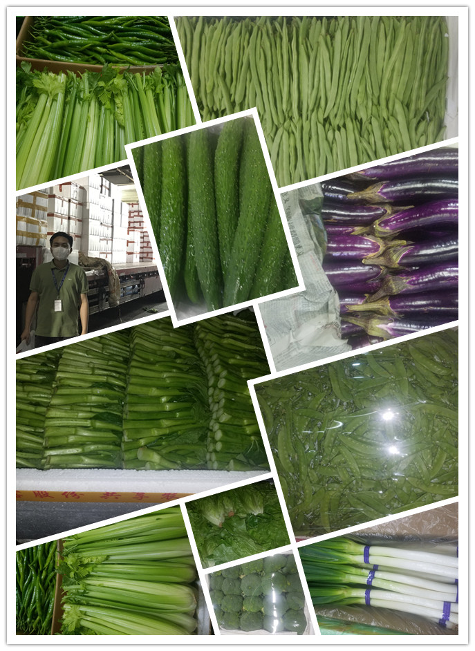 XPJ(中国大陆)有限公司官网