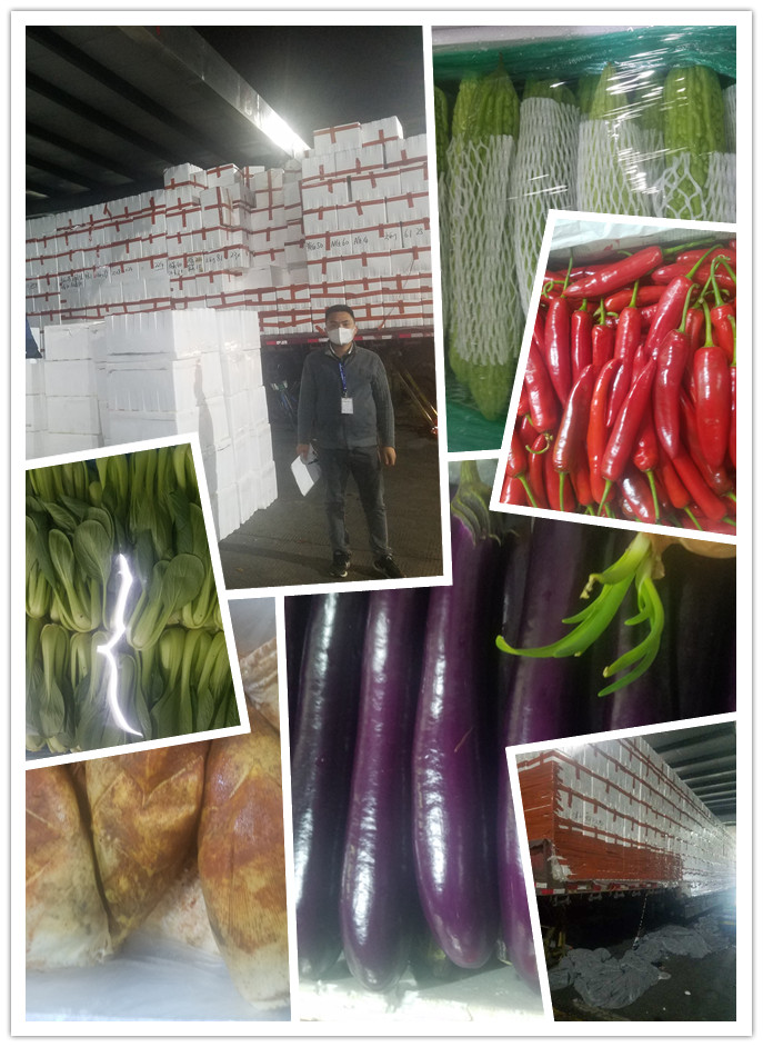 XPJ(中国大陆)有限公司官网