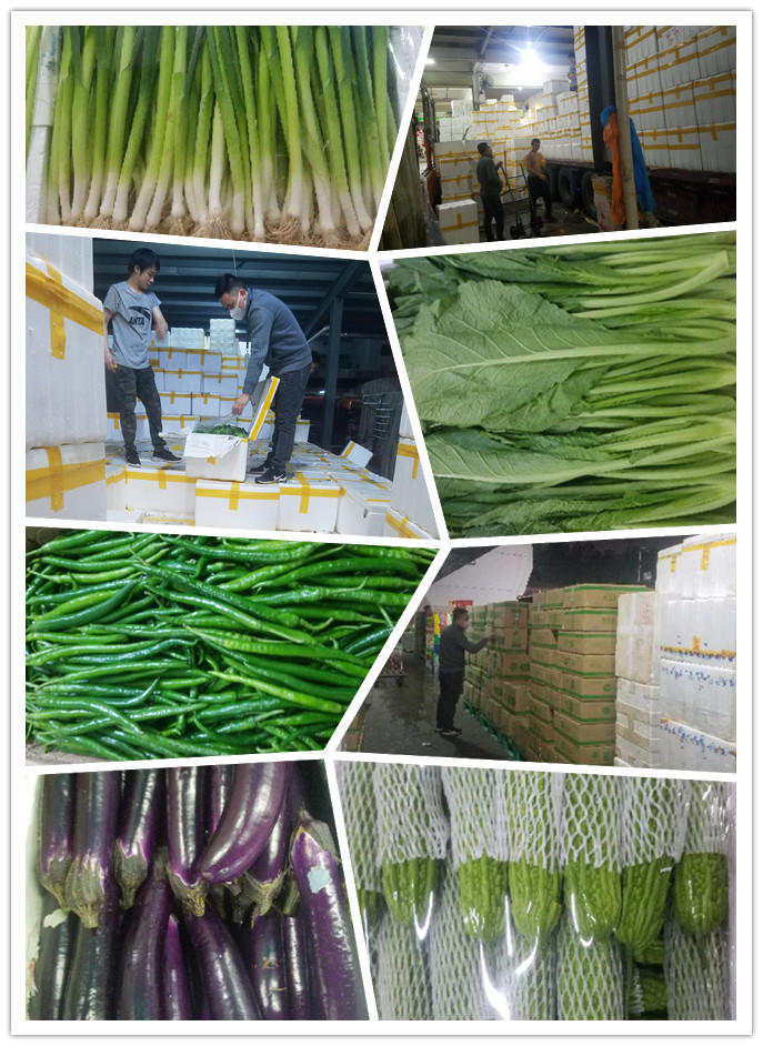 XPJ(中国大陆)有限公司官网