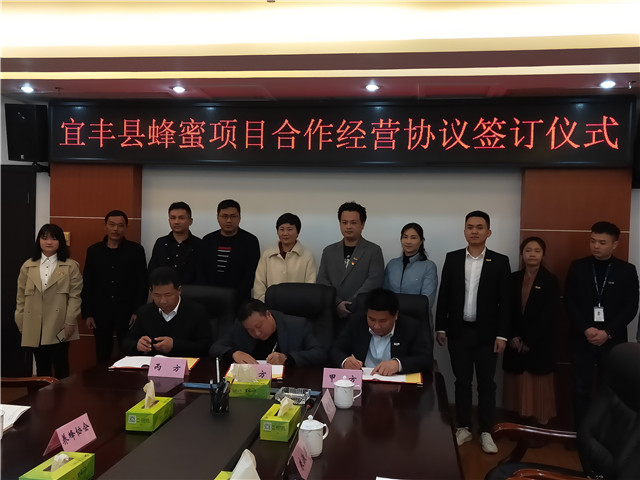 XPJ(中国大陆)有限公司官网