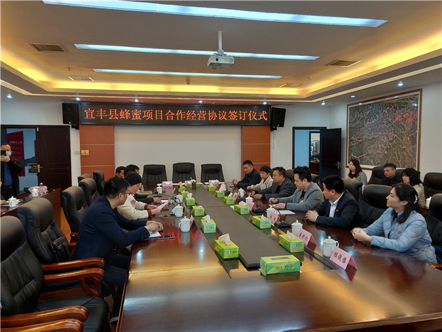 XPJ(中国大陆)有限公司官网