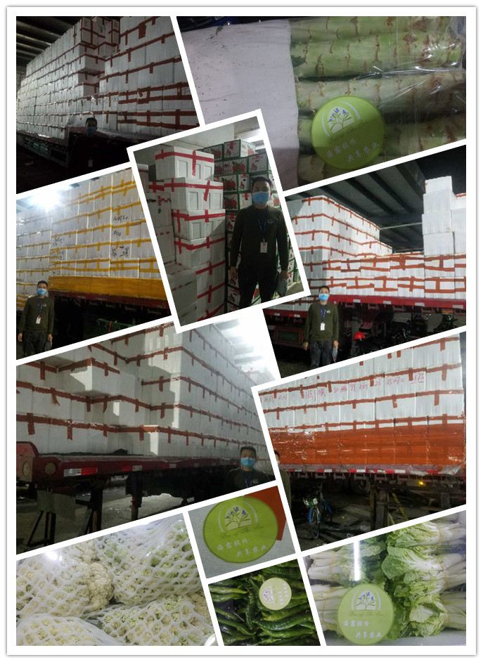 XPJ(中国大陆)有限公司官网