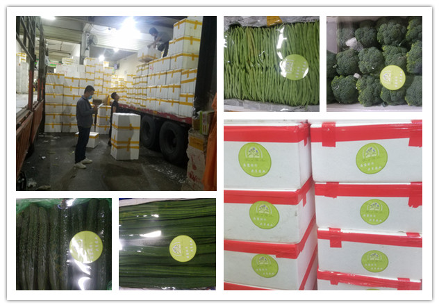 XPJ(中国大陆)有限公司官网