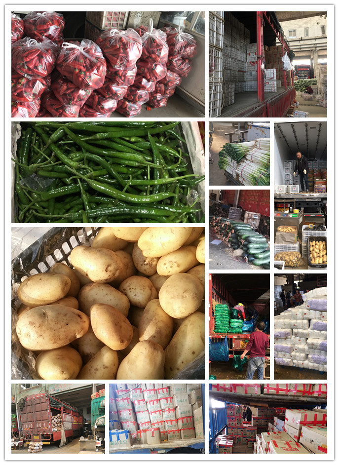 XPJ(中国大陆)有限公司官网