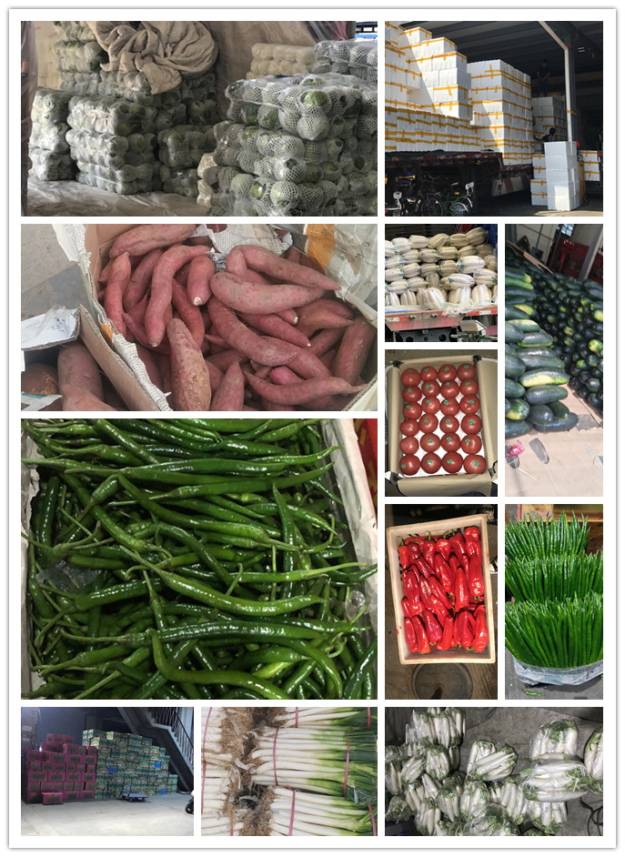 XPJ(中国大陆)有限公司官网