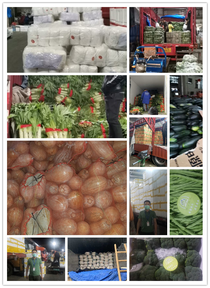 XPJ(中国大陆)有限公司官网