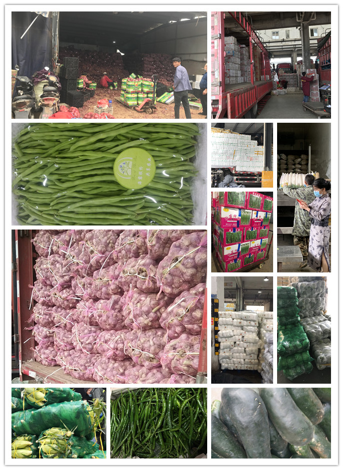 XPJ(中国大陆)有限公司官网