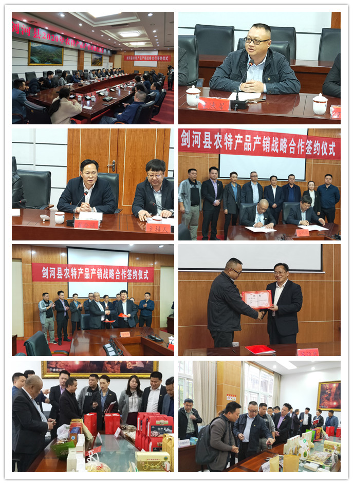 XPJ(中国大陆)有限公司官网