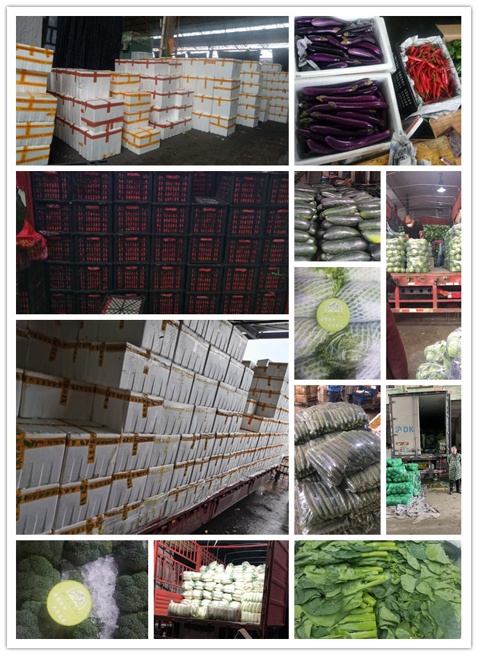 XPJ(中国大陆)有限公司官网