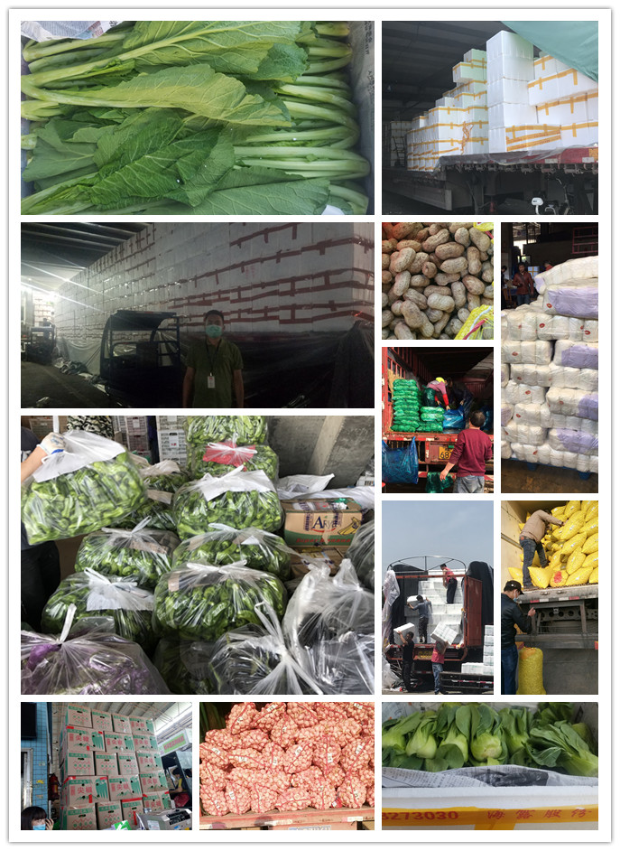 XPJ(中国大陆)有限公司官网