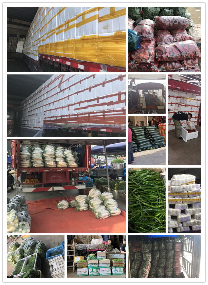 XPJ(中国大陆)有限公司官网