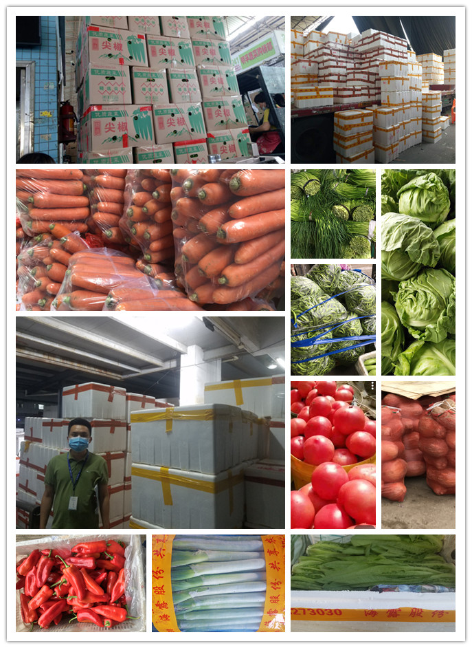 XPJ(中国大陆)有限公司官网