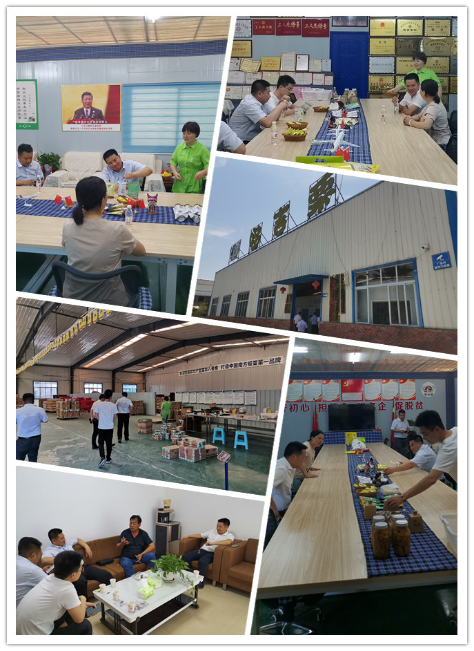 XPJ(中国大陆)有限公司官网