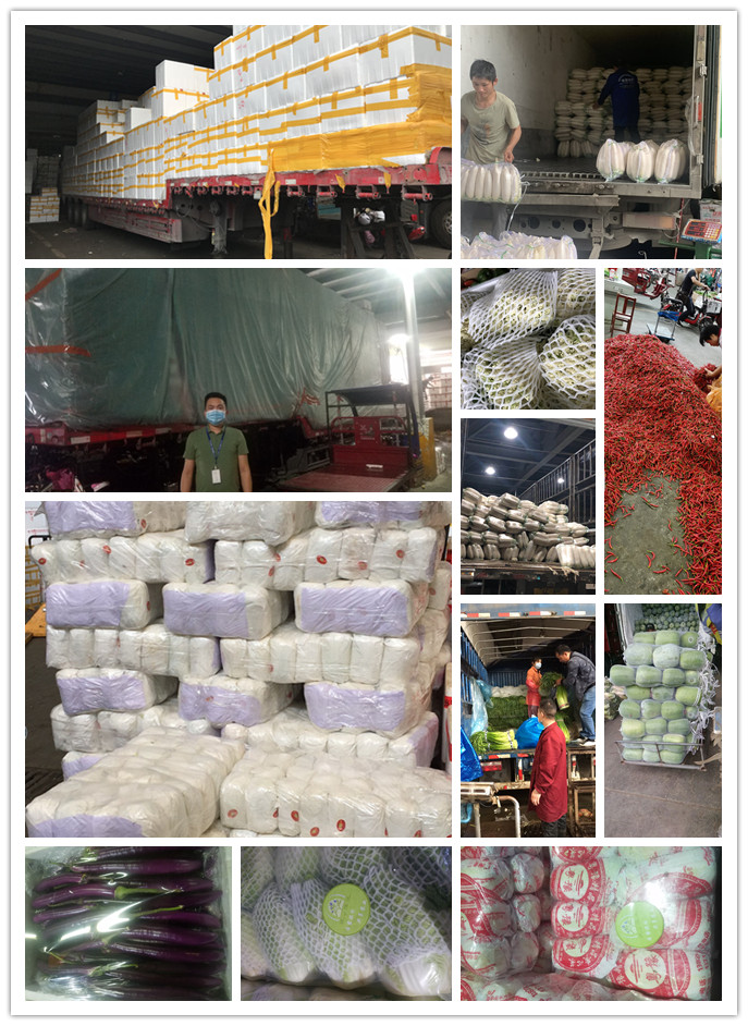 XPJ(中国大陆)有限公司官网