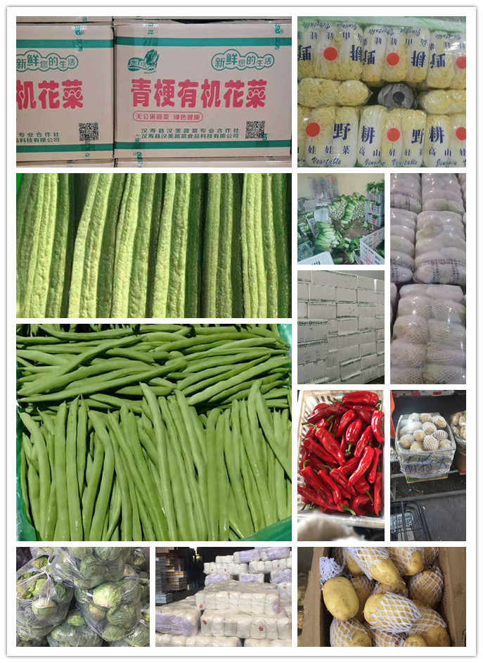 XPJ(中国大陆)有限公司官网