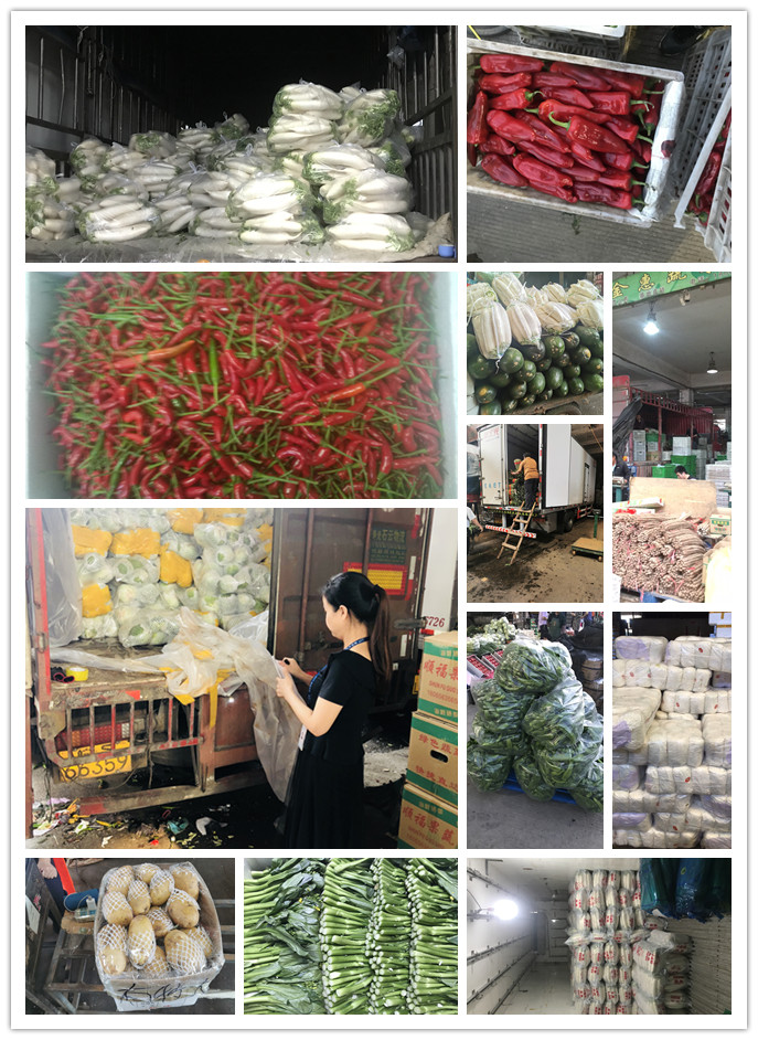 XPJ(中国大陆)有限公司官网