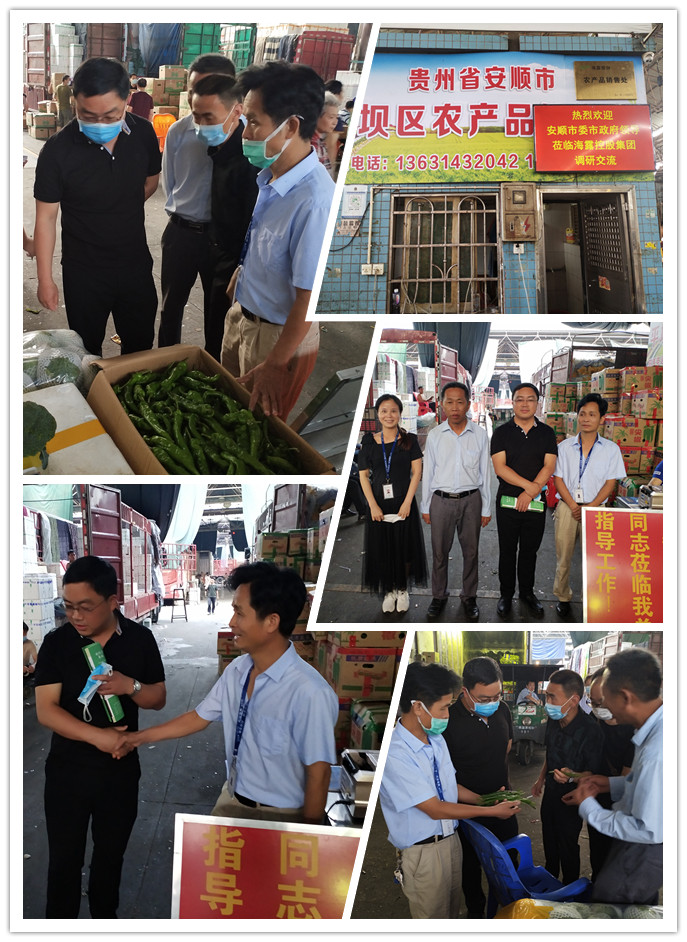 XPJ(中国大陆)有限公司官网