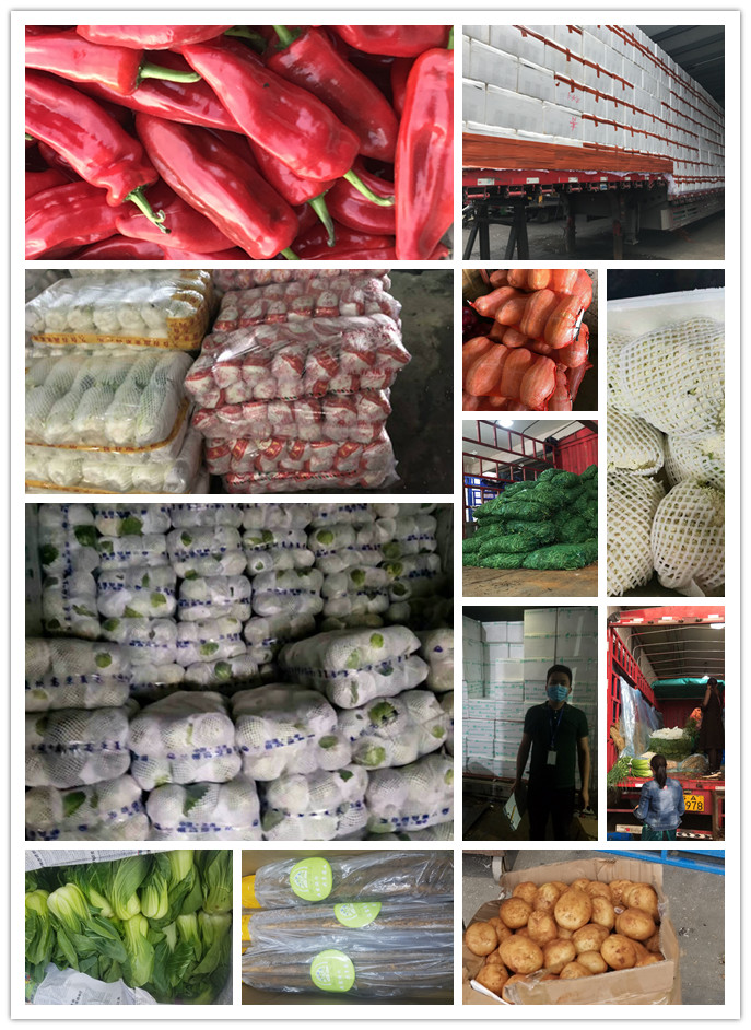 XPJ(中国大陆)有限公司官网